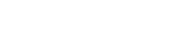 Newto Logo